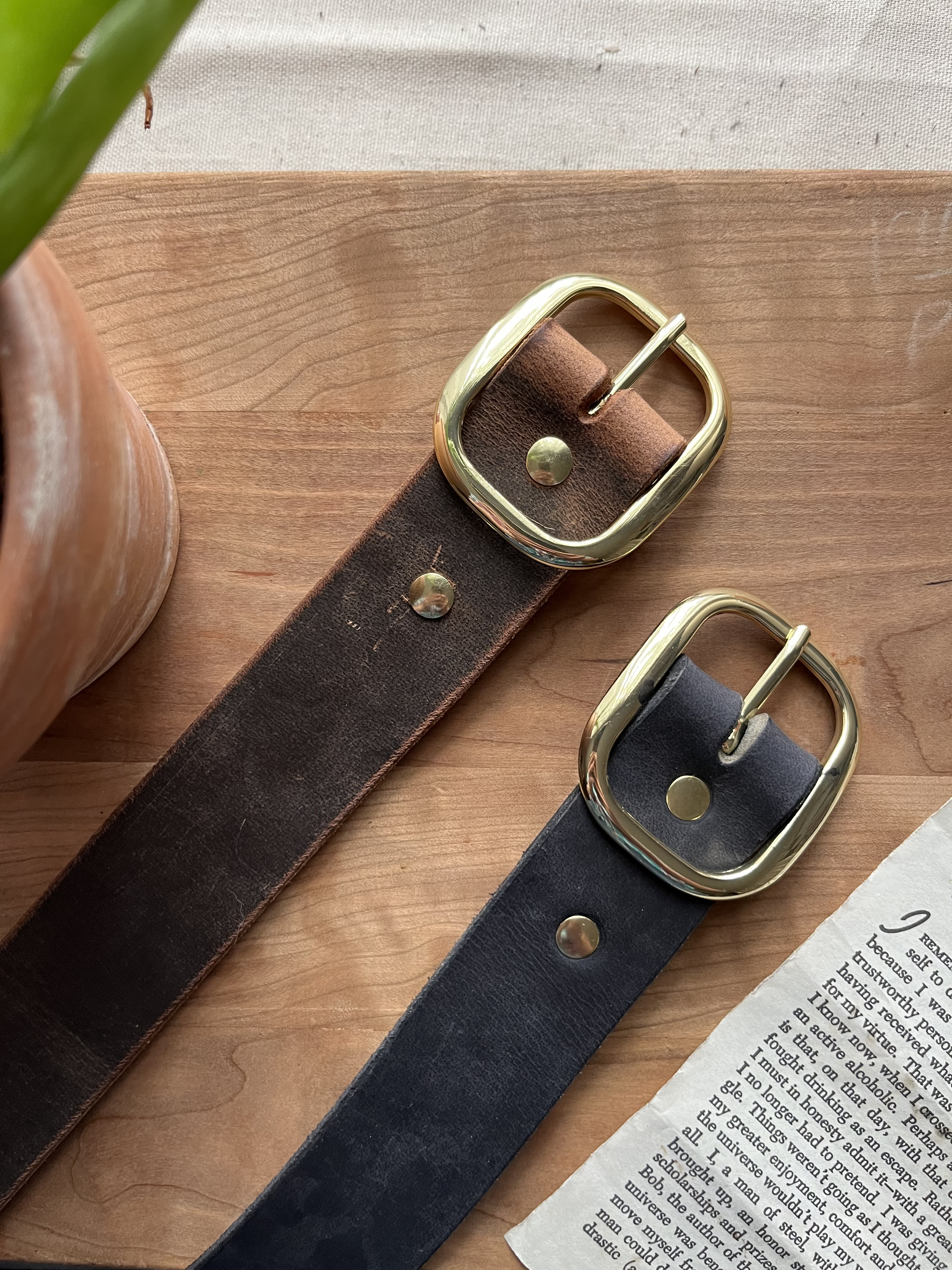The Buffalo Belt